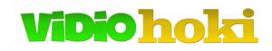 vidiohoki